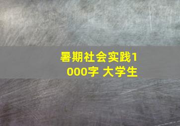 暑期社会实践1000字 大学生